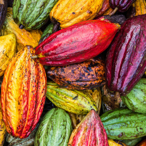 Bio Criollo Kakao Becks Cocoa, 250 g