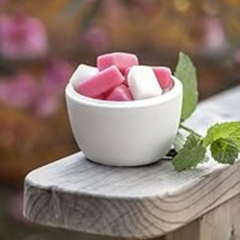 LÜHDERS Pfefferminzbruch 155g