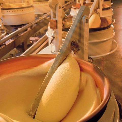 Marzipan-Stollen auf Förderschale einer Produktionsmaschine
